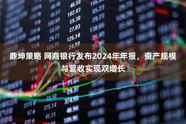 鼎坤策略 网商银行发布2024年年报，资产规模与营收实现双增长