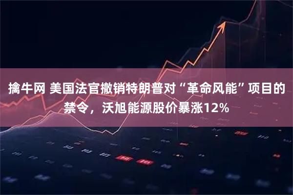 擒牛网 美国法官撤销特朗普对“革命风能”项目的禁令，沃旭能源股价暴涨12%