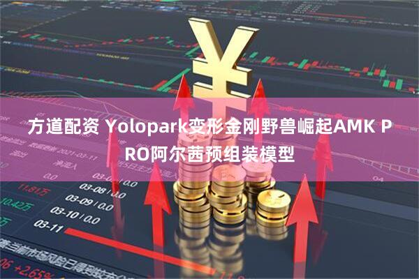 方道配资 Yolopark变形金刚野兽崛起AMK PRO阿尔茜预组装模型